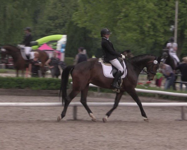Reitturnier Hamm-Rhynern 2025