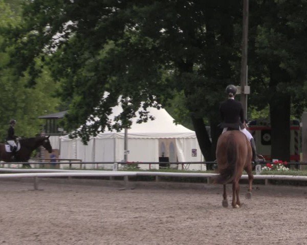 Reitturnier Hamm-Rhynern 2025