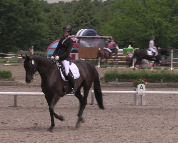 Reitturnier Hamm-Rhynern 2025