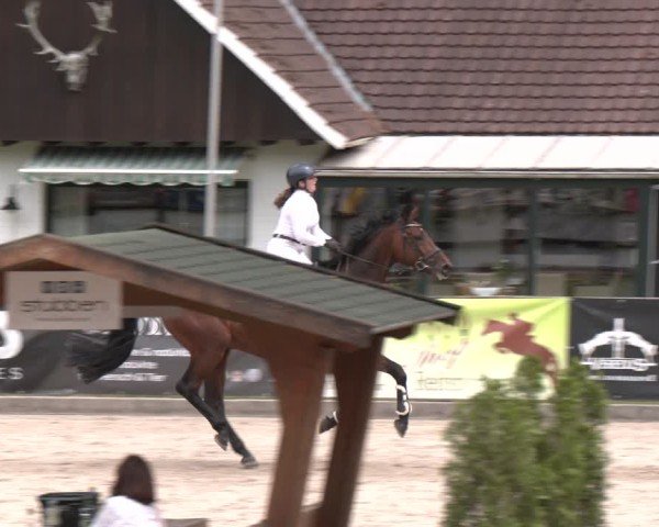 Reitturnier Klein Roscharden 2025