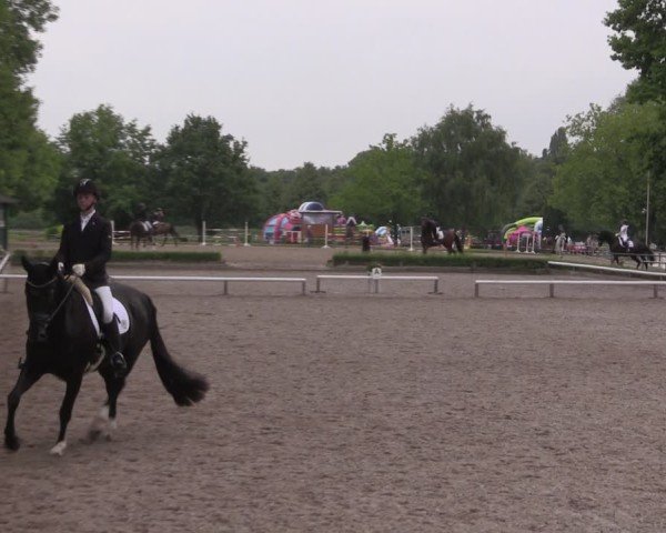 Reitturnier Hamm-Rhynern 2025
