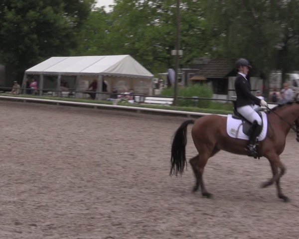 Reitturnier Hamm-Rhynern 2025
