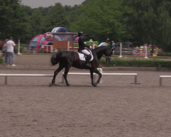 Reitturnier Hamm-Rhynern 2025