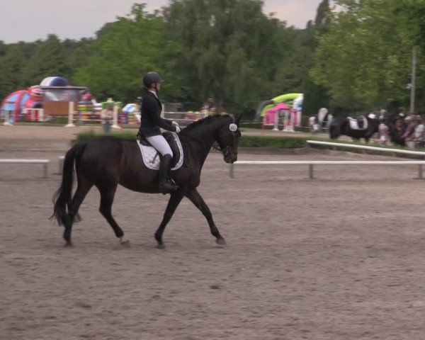 Reitturnier Hamm-Rhynern 2025