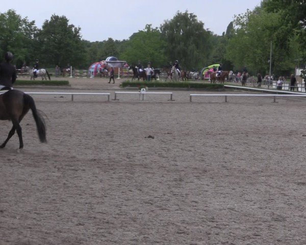 Reitturnier Hamm-Rhynern 2025