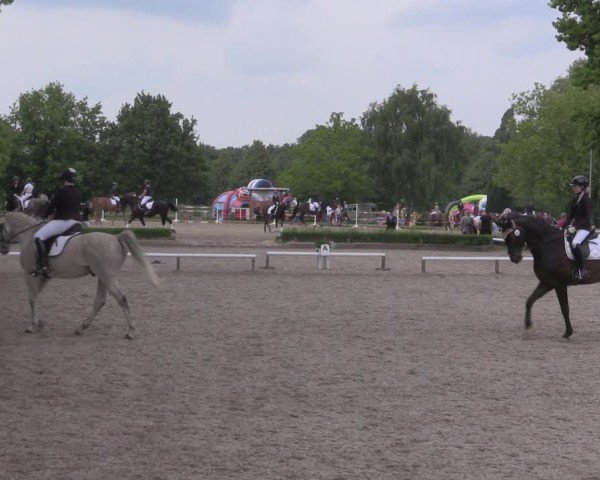 Reitturnier Hamm-Rhynern 2025