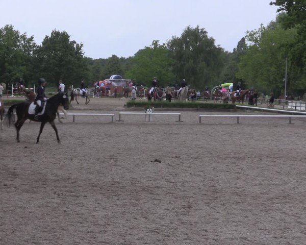 Reitturnier Hamm-Rhynern 2025