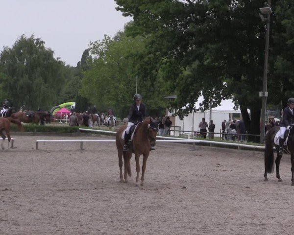 Reitturnier Hamm-Rhynern 2025