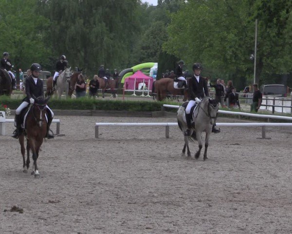 Reitturnier Hamm-Rhynern 2025