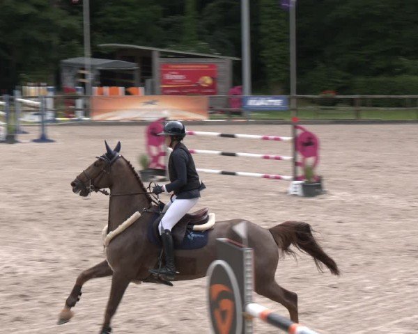 Reitturnier Klein Roscharden 2025
