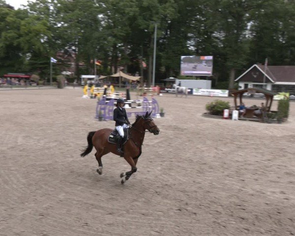 Reitturnier Klein Roscharden 2025