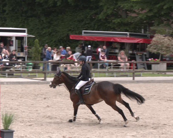 Reitturnier Klein Roscharden 2025