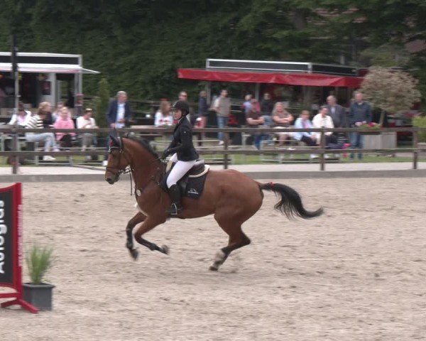Reitturnier Klein Roscharden 2025