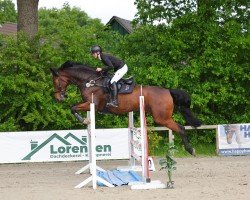 jumper Caluga A (Holsteiner, 2013, from Catoo)