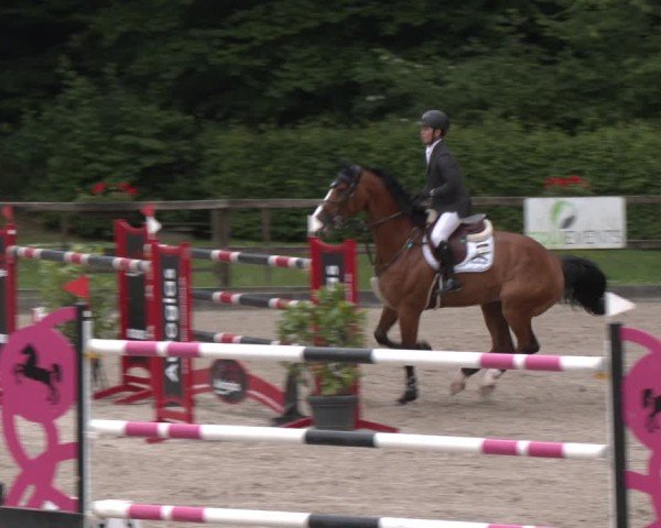 Reitturnier Klein Roscharden 2025