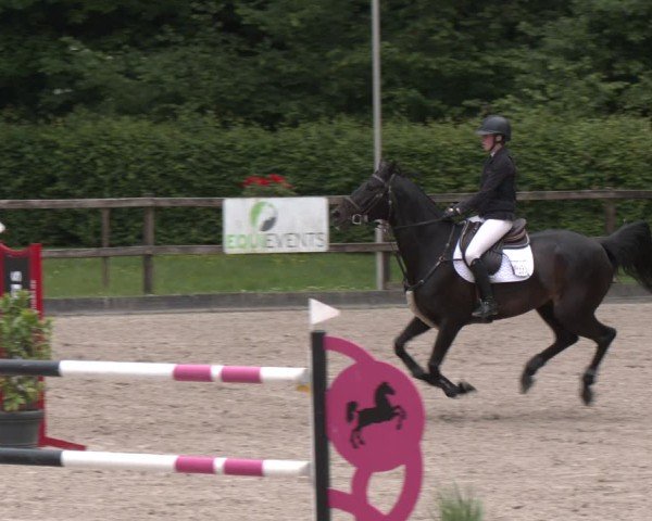 Reitturnier Klein Roscharden 2025