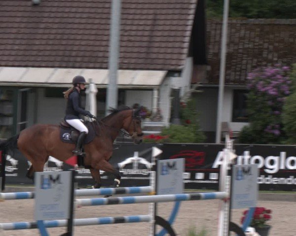 Reitturnier Klein Roscharden 2025