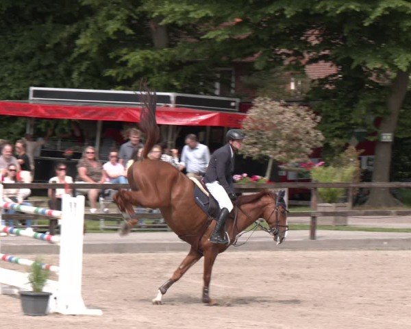 Reitturnier Klein Roscharden 2025