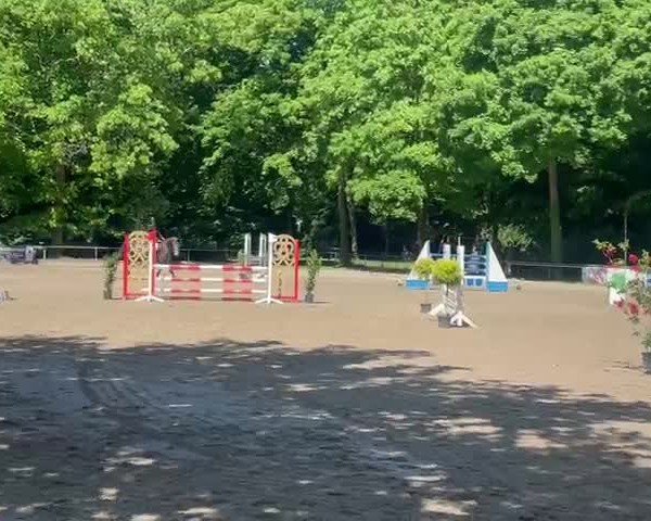 Video von Calasso PU