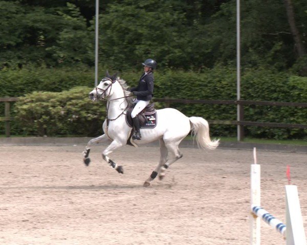 Reitturnier Klein Roscharden 2025