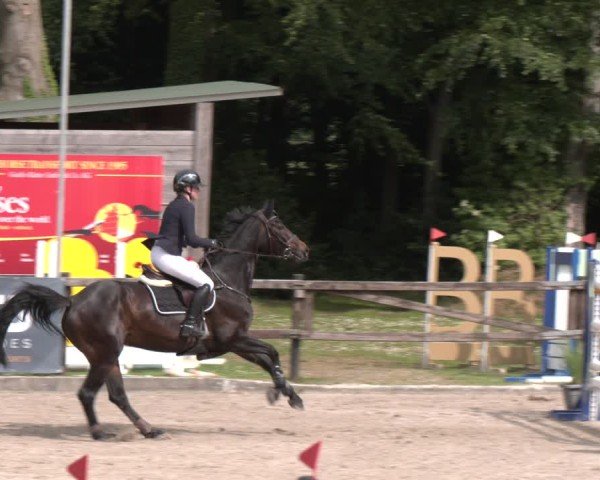 Reitturnier Klein Roscharden 2025