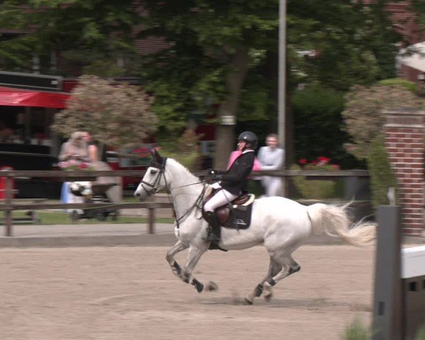 Reitturnier Klein Roscharden 2025
