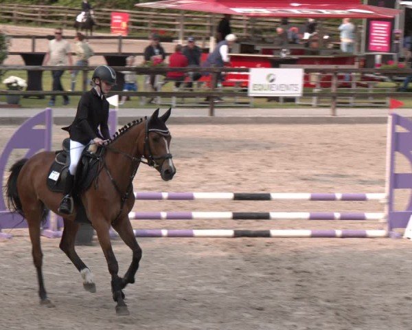 Reitturnier Klein Roscharden 2025