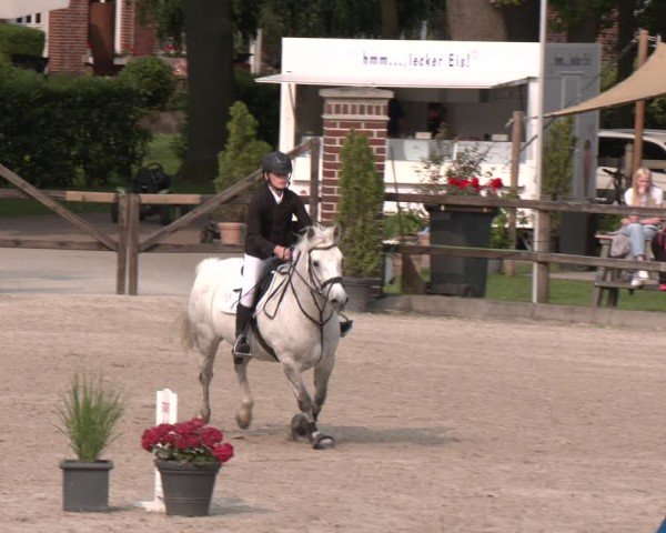 Reitturnier Klein Roscharden 2025