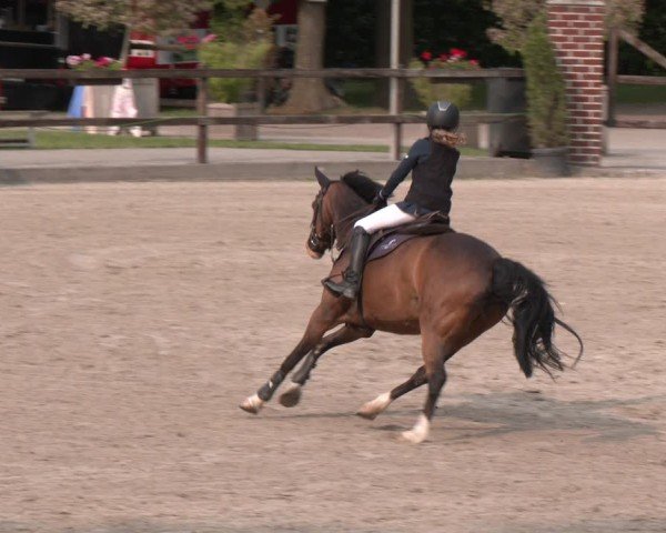 Reitturnier Klein Roscharden 2025