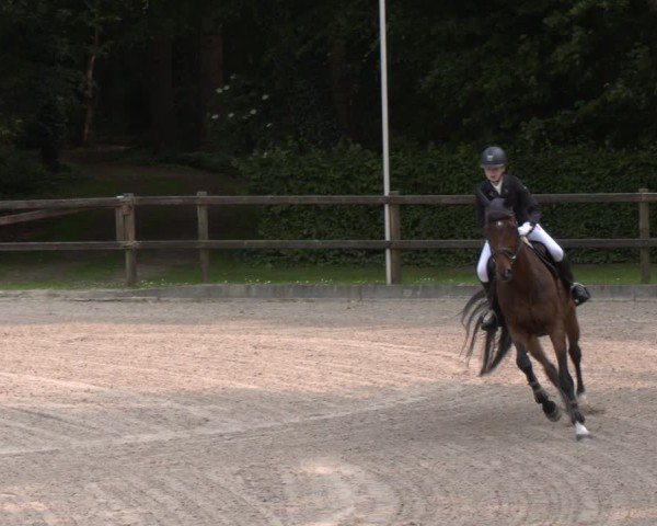 Reitturnier Klein Roscharden 2025