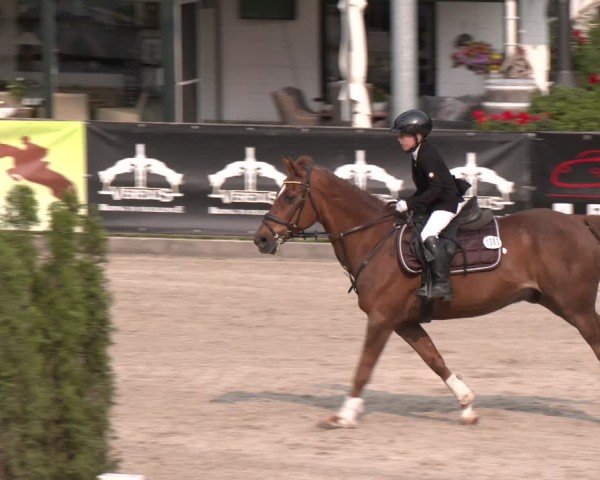 Reitturnier Klein Roscharden 2025