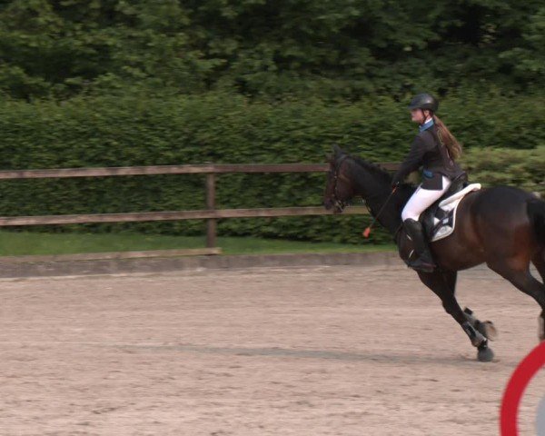 Reitturnier Klein Roscharden 2025