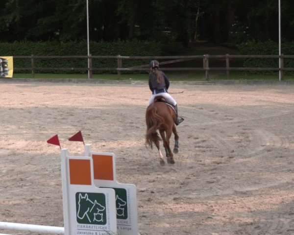 Reitturnier Klein Roscharden 2025