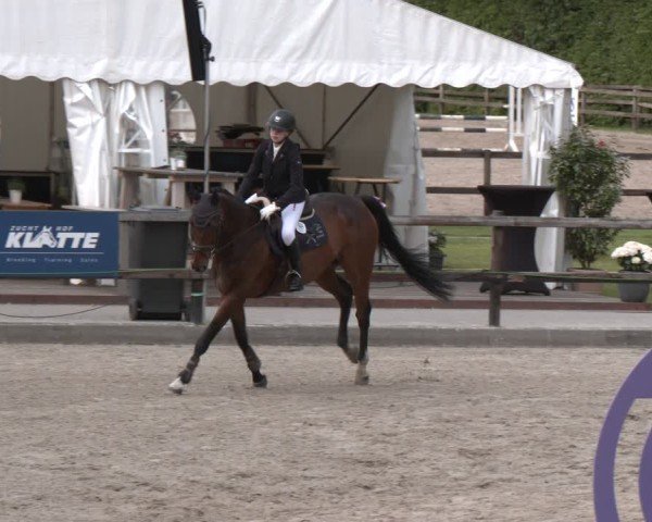Reitturnier Klein Roscharden 2025