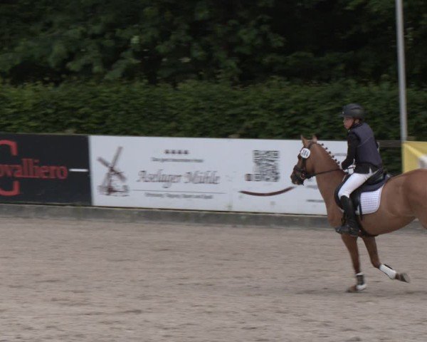 Reitturnier Klein Roscharden 2025