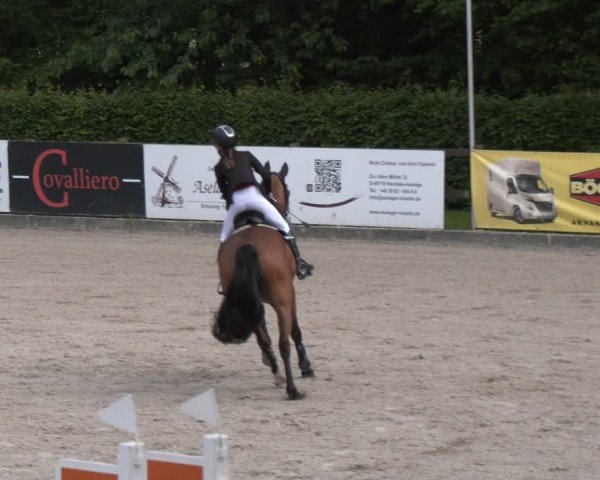Reitturnier Klein Roscharden 2025