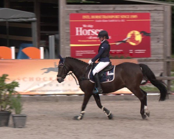 Reitturnier Klein Roscharden 2025
