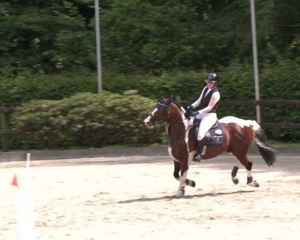 Reitturnier Klein Roscharden 2025