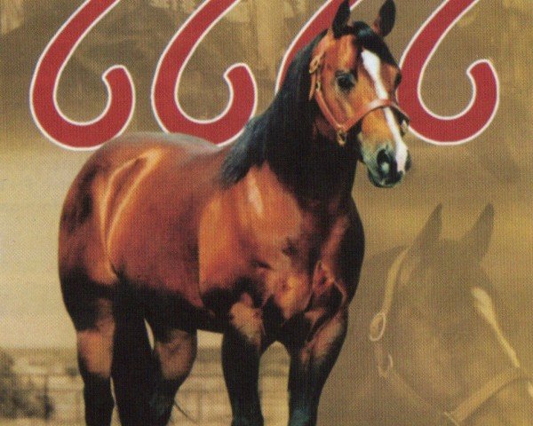horse Paddys Irish Whiskey (Quarter Horse, 1991, from Peppy San Badger)