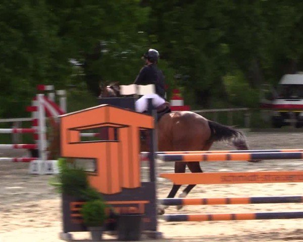 Reitturnier Kropp 2025