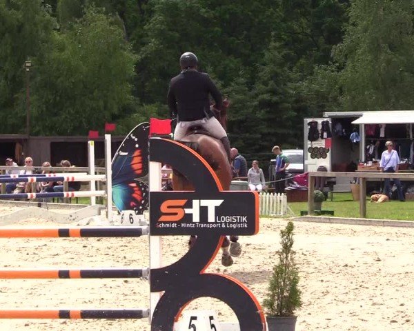 Reitturnier Kropp 2025