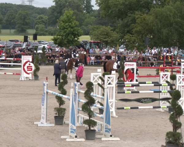 Reitturnier Kirchhellen/Stall Dieckmann 2025
