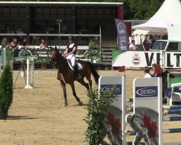 Reitturnier Hellefeld 2025