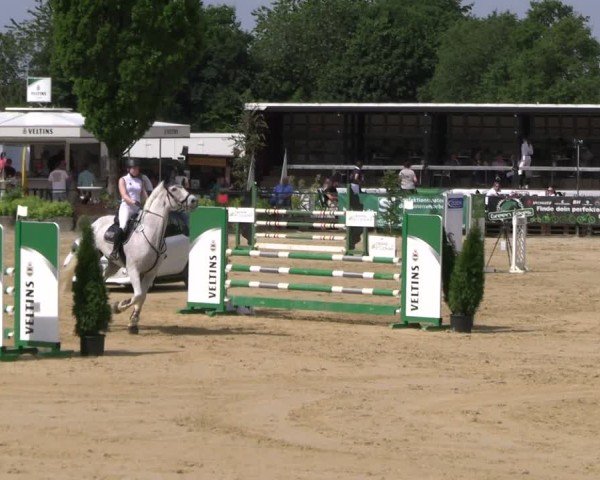 Reitturnier Hellefeld 2025
