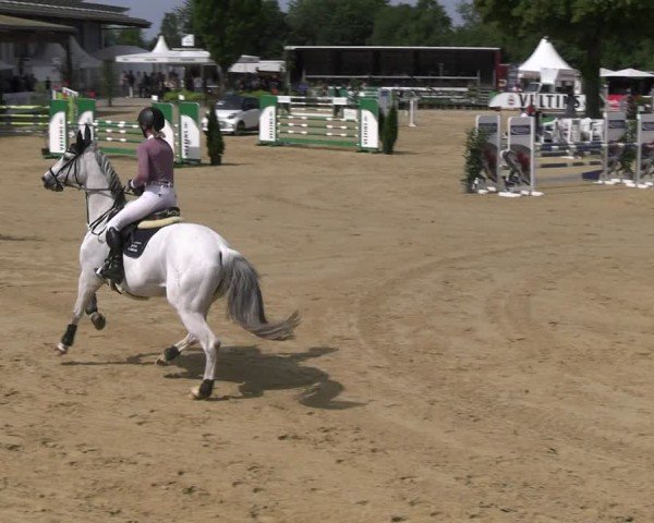 Reitturnier Hellefeld 2025