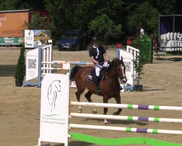 Reitturnier Hellefeld 2025