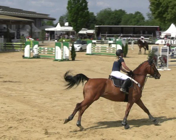 Reitturnier Hellefeld 2025