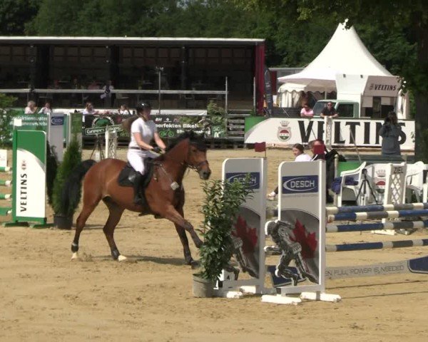 Reitturnier Hellefeld 2025