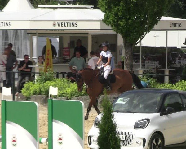 Reitturnier Hellefeld 2025