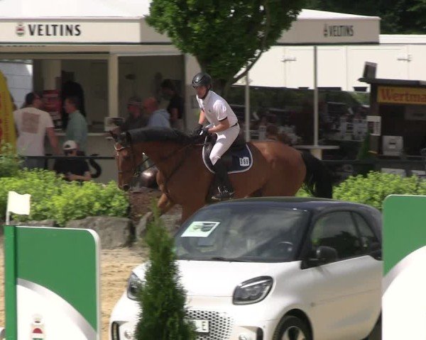 Reitturnier Hellefeld 2025